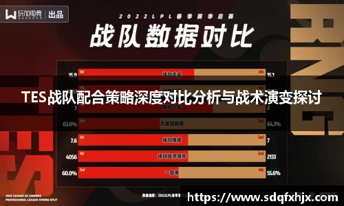TES战队配合策略深度对比分析与战术演变探讨
